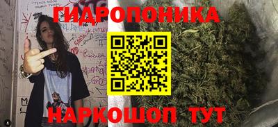 гидропоника Кулебаки
