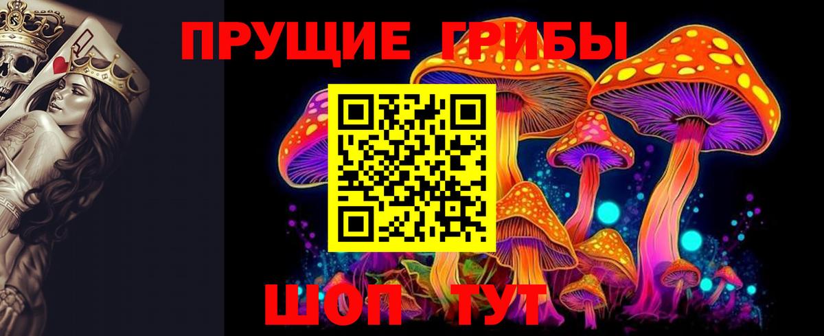 Псилоцибиновые грибы мицелий Кинель