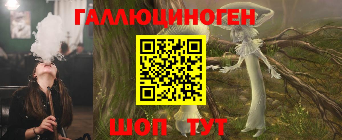 Псилоцибиновые грибы прущие грибы  Вход с VPN  Кинель 